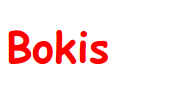 Bokis - Bokföring med BAS-kontoplan